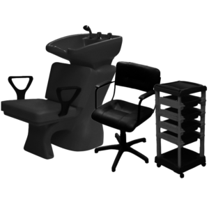 COMBO EMPRENDEDOR | SILLA + AYUDANTE + LAVATORIO