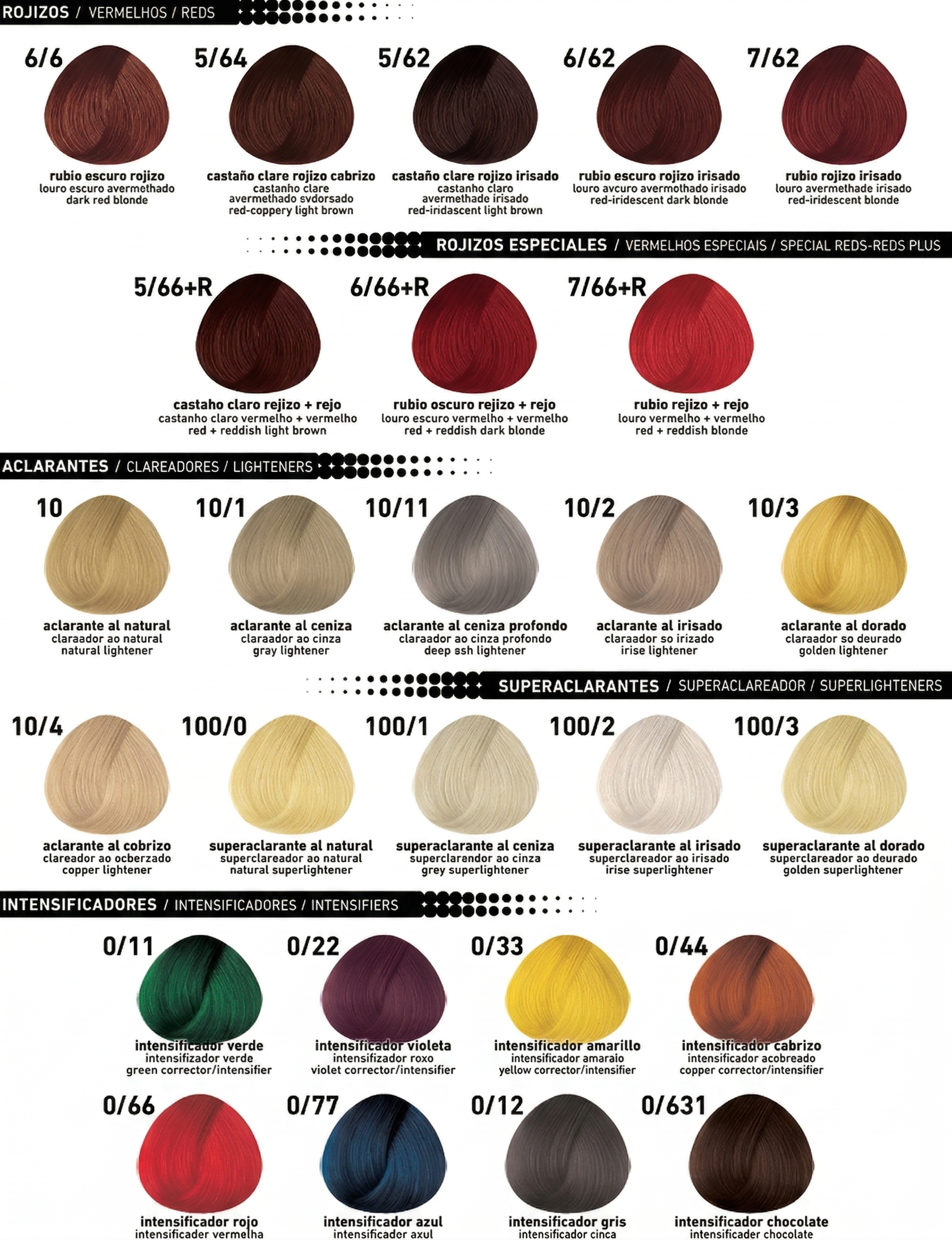 COLOR MASTER TINTURA 6/6 - Imagen 2