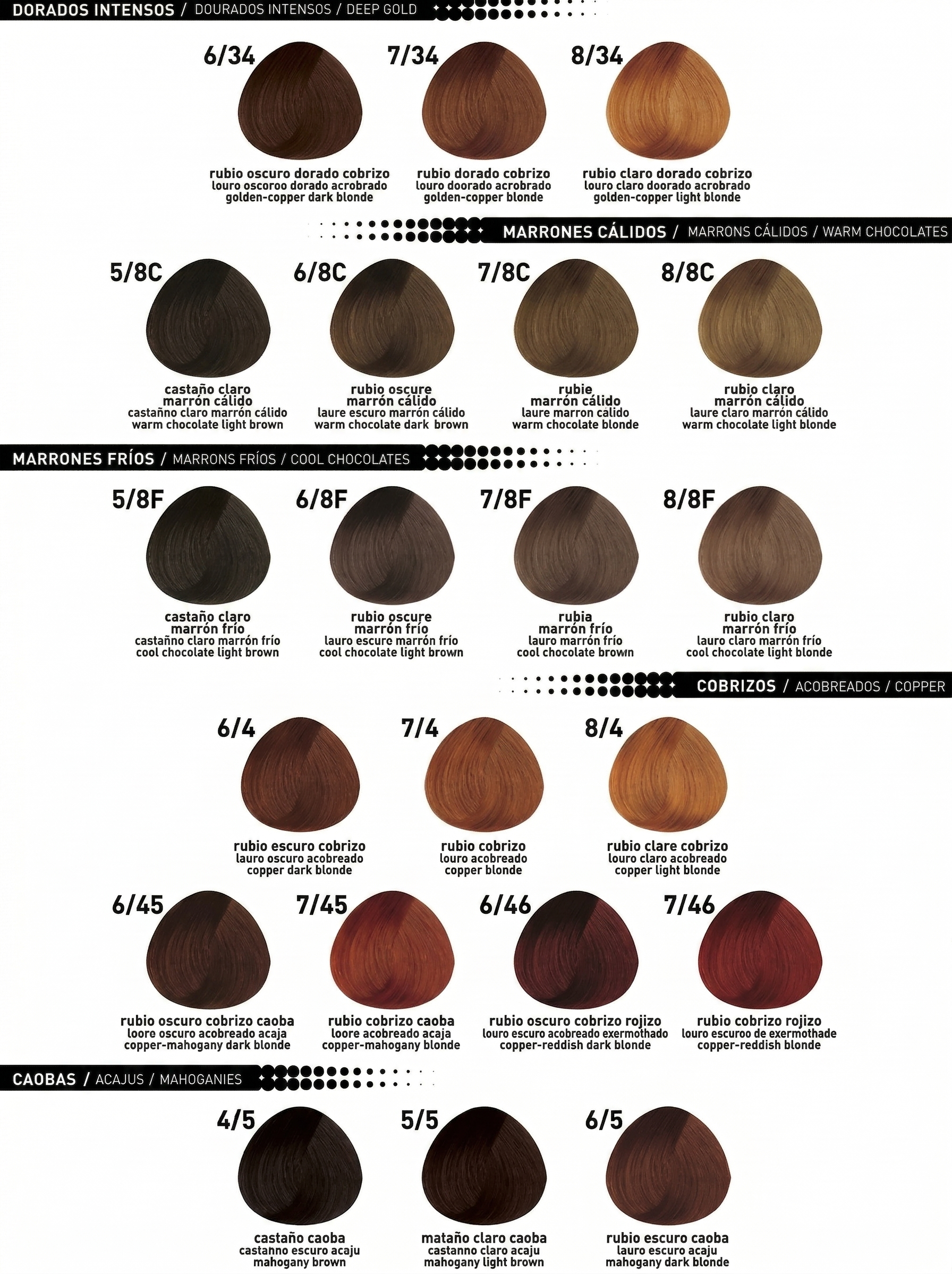 COLOR MASTER TINTURA 6/8F - Imagen 2
