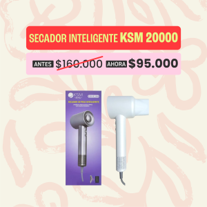 SECADOR KSM 2000W